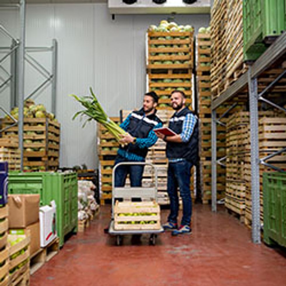 https://www.penskelogistics.com/media-library/cold-chain-technologies-keep-produce-fresh.jpg?id=23559249&width=980